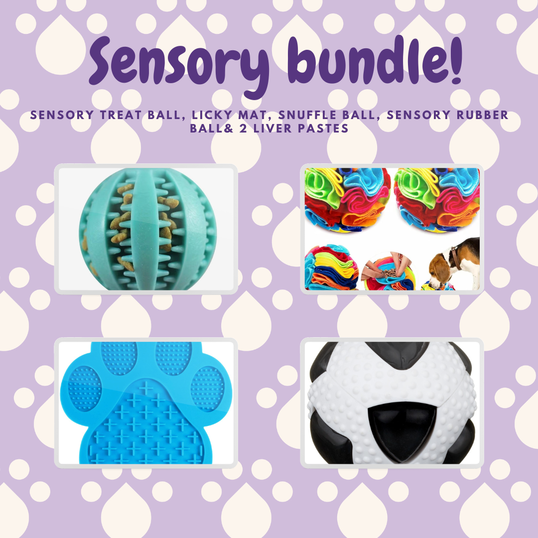 Sensory bundle