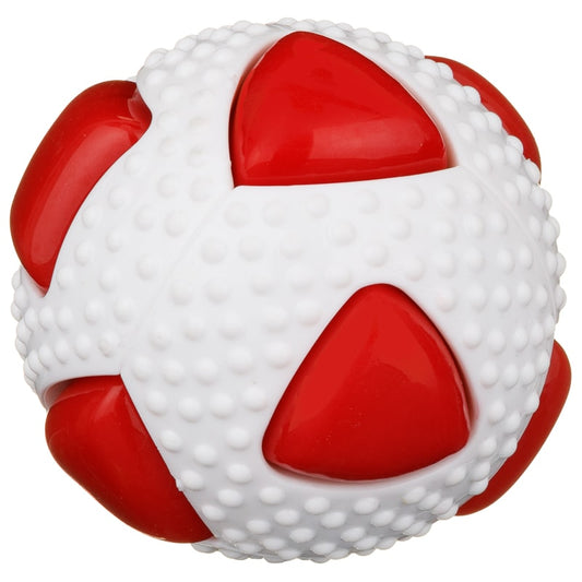 Sensory Rubber Ball Dog Toy.